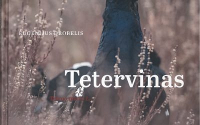 2017 g. esam atbalstījuši Eugenija Drobeļa grāmatu-albumu “Tetraine”.